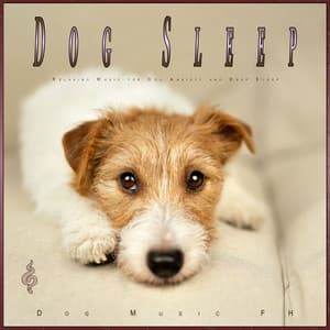 Dog Sleep: Relaxing Music for Dog Anxiety and Deep Sleep - Calming Music for Dogs