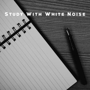 Study With White Noise - Meditation Rain Sounds