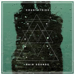 #10 Countryside Rain Sounds to Sleep Eight Hours - Ambient Forest