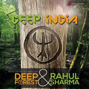 Deep India - Deep Forest