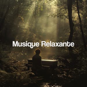 Musique Relaxante - Spa Music Relaxation