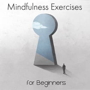 Mindfulness Exercises for Beginners - Kelsy Owell