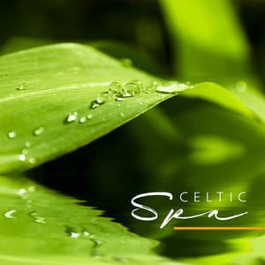 Celtic Spa - Zen Music for Inner Balance, Stress Relief and Relaxation - Tranquility Area of Zen