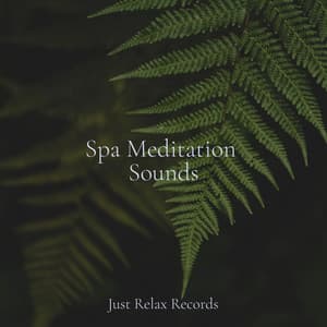 Spa Meditation Sounds - Musica para Dormir Dream House