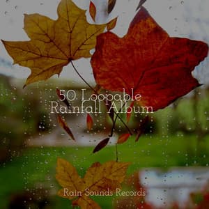 50 Loopable Rainfall Album - Anxiety Relief