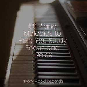 50 Piano Melodies to Help You Study Focus and Relax - Ivory Mood