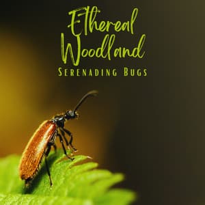 Ethereal Woodland: Serenading Bugs - The Nature Project