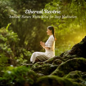 Ethereal Reverie: Ambient Nature White Noise for Deep Meditation - Natural Woodland Sounds