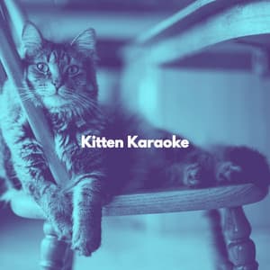Kitten Karaoke - Cat Music Zone
