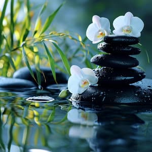Whispers of Tranquility - Wellness Pur