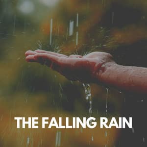 The Falling Rain - Rain for Deep Sleeping