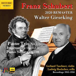 Schubert: Piano Works - Franz Schubert