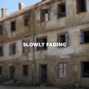 Slowly Fading - Norbert Stein