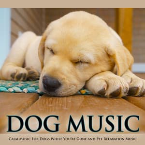 Dog Music: Calm Music For Dogs While You’re Gone and Pet Relaxation Music - Dog Music