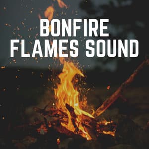 Bonfire Flames Sound - Weihnachtskamin