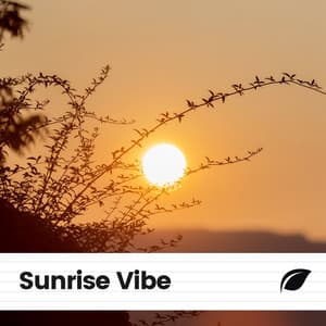 Sunrise Vibe - Island Nature Sounds