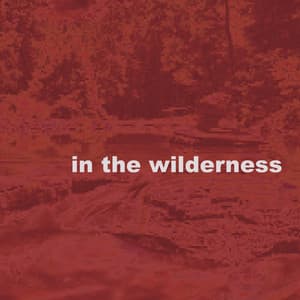 In the Wilderness - Gerald Cleaver
