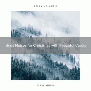 Birds Noises for Christmas with Peaceful Carols - Epic Soundscapes
