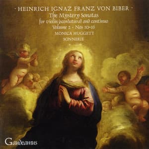 Biber: The Mystery Sonatas for Violin  and Continuo, Vol.2 - Heinrich Ignaz Franz von Biber