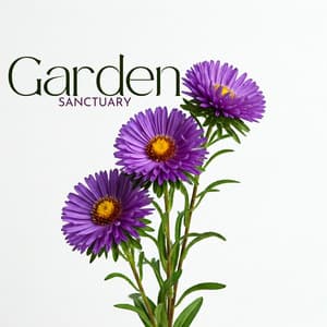 Garden Sanctuary: Ancient Trees, Soft Moss, Deep Silence, Hidden Paths, Peaceful Solitude - Natural Healing Music Zone