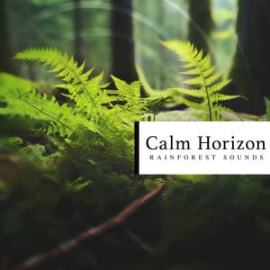 Calm Horizon - Rainforest Sounds