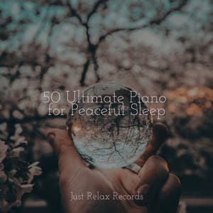 50 Ultimate Piano for Peaceful Sleep - Shakuhachi Sakano