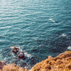 10 AM Wellness: Sleepy Seabird Serenade - Ocean Sounds