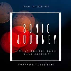 Sonic Journey - Sam Newsome