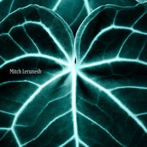 Nerve Garden Rituals, Polyvagal - Mitch Lerunesh