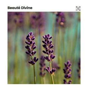 Beauté Divine - Sons de la nature