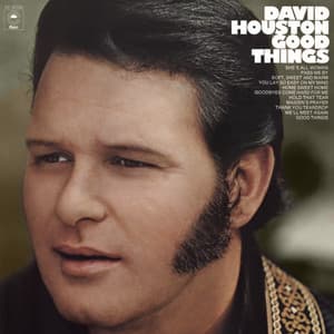 Good Things - David Houston