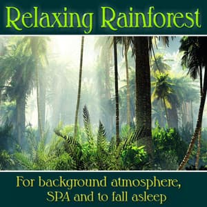 Relaxing Rainforest: For background atmosphere, SPA and to fall asleep - Rainforest Sounds