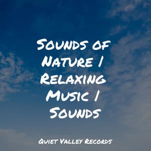 Sounds of Nature | Relaxing Music | Sounds - Pro Sound Effects Library