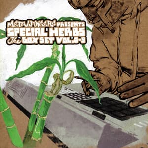 Metal Fingers Presents: Special Herbs, The Box Set Vol. 0 - 9 - MF DOOM