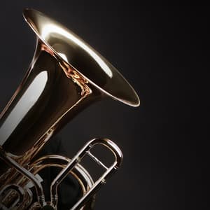 Peaceful Orchestra Sounds for Baby Sleep - Charles Anderson