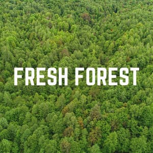 Fresh Forest - Sounds of the Forest
