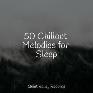 50 Chillout Melodies for Sleep - Sleep Songs 101