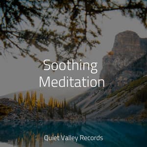 Soothing Meditation - Sleep Sound of Nature