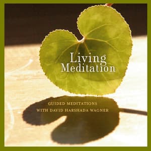 Living Meditation: Guided Meditations With David Harshada Wagner - Music for Deep Meditation
