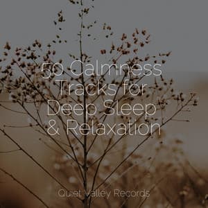 50 Calmness Tracks for Deep Sleep & Relaxation - Relaxing Sleep Sound