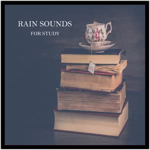 Rain Sounds for Study - Barulho de Chuva para Estudar