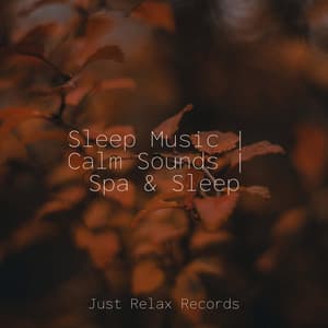 Sleep Music | Calm Sounds | Spa & Sleep - Forest Sounds