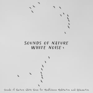 Sounds of Nature White Noise - Sounds of Nature White Noise for Mindfulness Meditation and Relaxation
