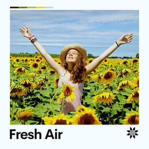 Fresh Air - Lofi Hip-Hop Beats