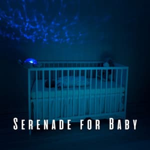 Serenade for Baby: Meditative Piano Lullabies - Piano: Classical Relaxation