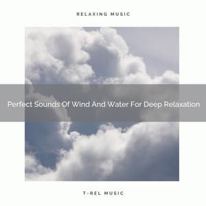 Perfect Sounds Of Wind And Water For Deep Relaxation - Nature Sound Series