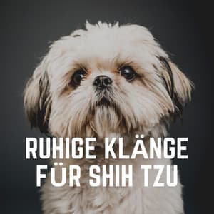 Ruhige Klänge Für Shih Tzu - Hundemusik