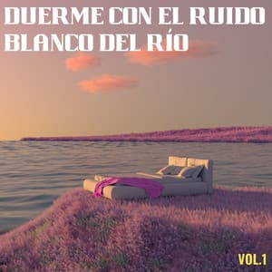 Duerme Con El Ruido Blanco Del Río Vol. 1 - Sonidos de agua Ruido blanco natural