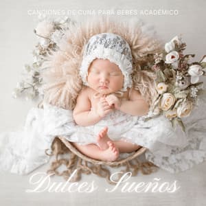 Dulces Sueños, Mi Niño: Lullabies en Español - Canciones de Cuna para Bebés Acadèmico