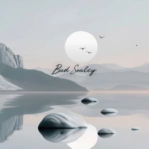 Where Shadows Dance with Starlight - Bud Souley